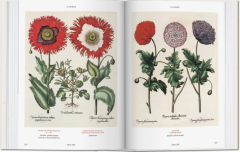 Basilius Besler.Florilegium.The Book of Plants