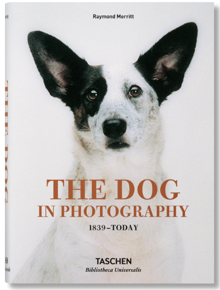 The Dog in Photography 1839-Today