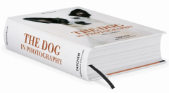 The Dog in Photography 1839-Today