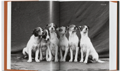The Dog in Photography 1839-Today