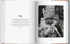 The Dog in Photography 1839-Today