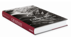 Sebastiao Salgado. Genesis