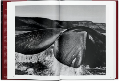 Sebastiao Salgado. Genesis