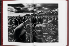 Sebastiao Salgado. Genesis