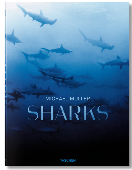 Michael Muller. Sharks