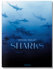 Michael Muller. Sharks