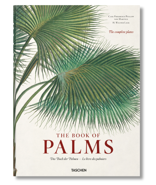 Martius. The Book of Palms