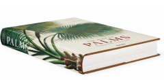 Martius. The Book of Palms