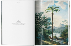 Martius. The Book of Palms