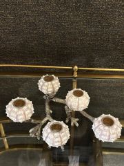 Candleholder seaurchin 15x33 cm | Deniz Kabuğu Tealight - Şamdan