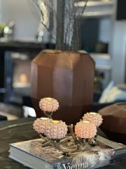 Candleholder seaurchin 15x33 cm | Deniz Kabuğu Tealight - Şamdan