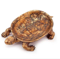 Bowl turtle h:7 37x24 cm | Dekoratif Obje