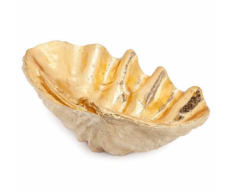 Tridacna shell gold color 79x47x24 cm | Dekoratif Obje