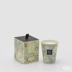 Citrus Verbena Heritage 5x12 cm  | Mum