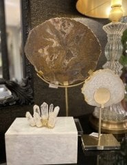 Fossil on stand 25x13x40 cm | Dekoratif Obje