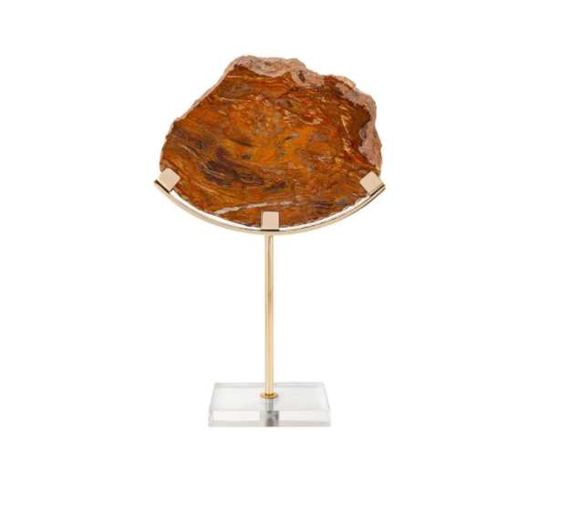 Fossil on stand 25x13x40 cm | Dekoratif Obje