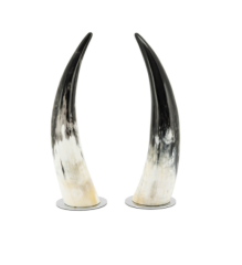 Bookend standing horns h:31 cm set 2pcs | Kitap Tutucu