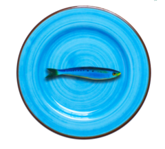 Aimone Turkuaz Tabak Q:27 cm 6'lı Set