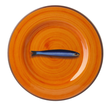 Aimone Turuncu Tabak Q:23 cm 6'lı Set