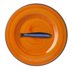 Aimone Turuncu Tabak Q:23 cm 6'lı Set