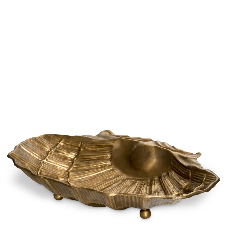 Bowl Seashell | Pirinç Meyvelik | Dekoratif Obje