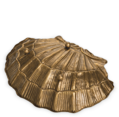 Bowl Seashell | Pirinç Meyvelik | Dekoratif Obje