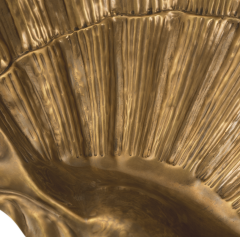 Bowl Seashell | Pirinç Meyvelik | Dekoratif Obje
