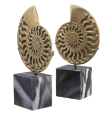 Object Ammonite Vintage Brass Finish Set of 2 (113731) - Pirinç Mermer 2' li Set Dekoratif Obje