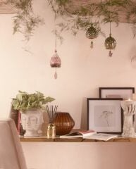 Specch Gold 200 ml | Oda Kokusu