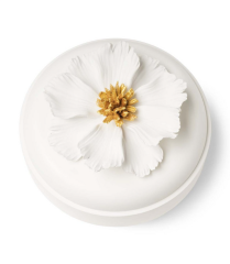 Flat Bow Peony White Gold 15x10 cm | Dekoratif Kutu