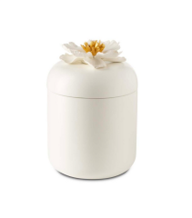 Flat Bow Peony White Gold L 11x16 cm | Dekoratif Kutu