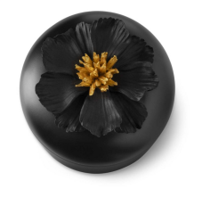 Flat Bow Peony Black Gold L 11x16 cm | Dekoratif Kutu