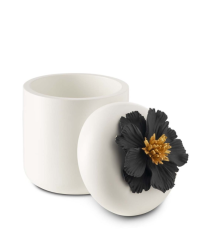 Flat Bow Peony White-Black Gold L 11x16 cm | Dekoratif Kutu