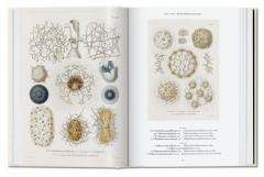 The Art and Science of Ernst Haeckel. 40th Ed.