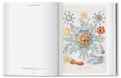 The Art and Science of Ernst Haeckel. 40th Ed.
