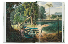 Martius. The Book of Palms. 40th Ed.