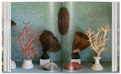 Massimo Listri. Cabinet of Curiosities. 40th Ed.