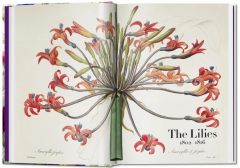 Redout‚. The Book of Flowers. 40th Ed.