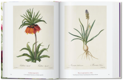 Redout‚. The Book of Flowers. 40th Ed.