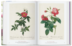 Redout‚. The Book of Flowers. 40th Ed.