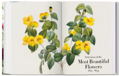 Redout‚. The Book of Flowers. 40th Ed.