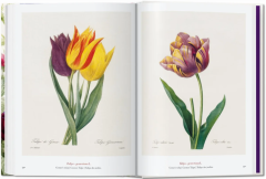 Redout‚. The Book of Flowers. 40th Ed.