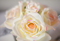 Ekru Pembe beş güllü gümüş detaylı şeffaf cam koku | Oda Kokusu