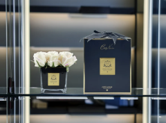 Kare Gold Siyah Vazo Ekru Pembe Dokuz Güllü | Oda Kokusu