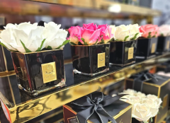 Kare Gold Siyah Vazo Beyaz Dört Güllü | Oda Kokusu